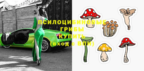 мдпв Иннополис