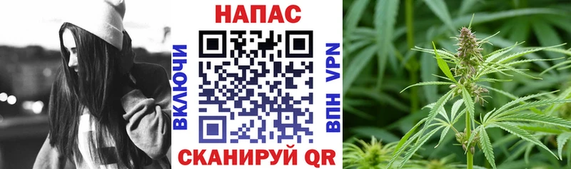 Купить Кяхта Марихуана гибрид